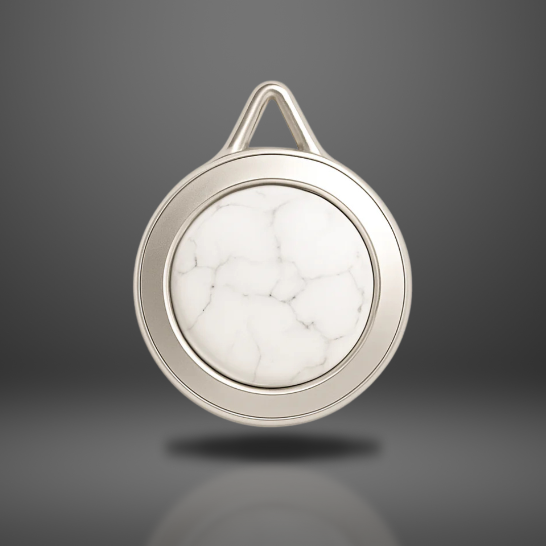DISPOSITIVO DE SEGURIDAD ALARA SILVER - Sin accesorio