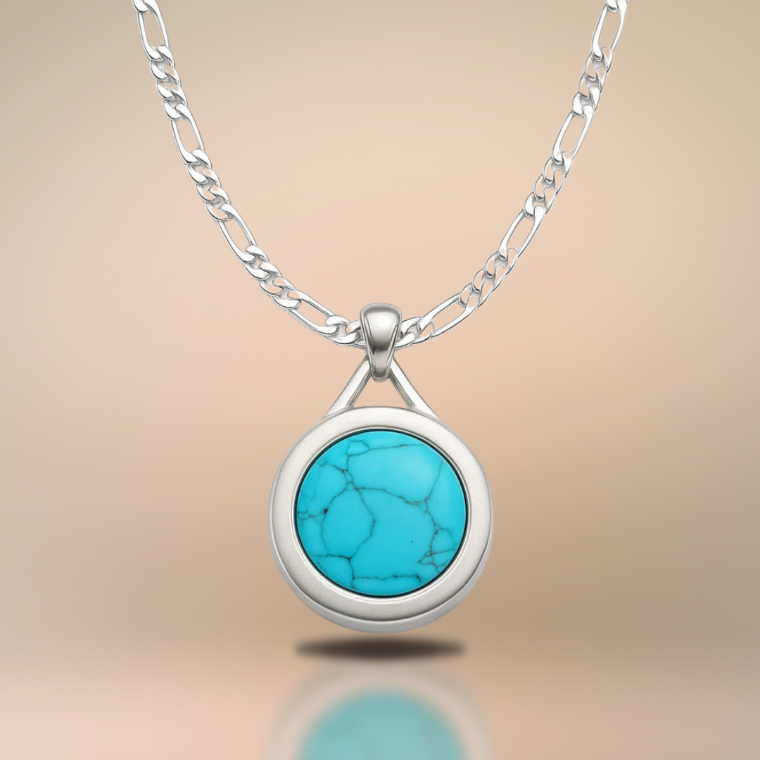 DISPOSITIVO DE SEGURIDAD ALARA SILVER - COLLAR