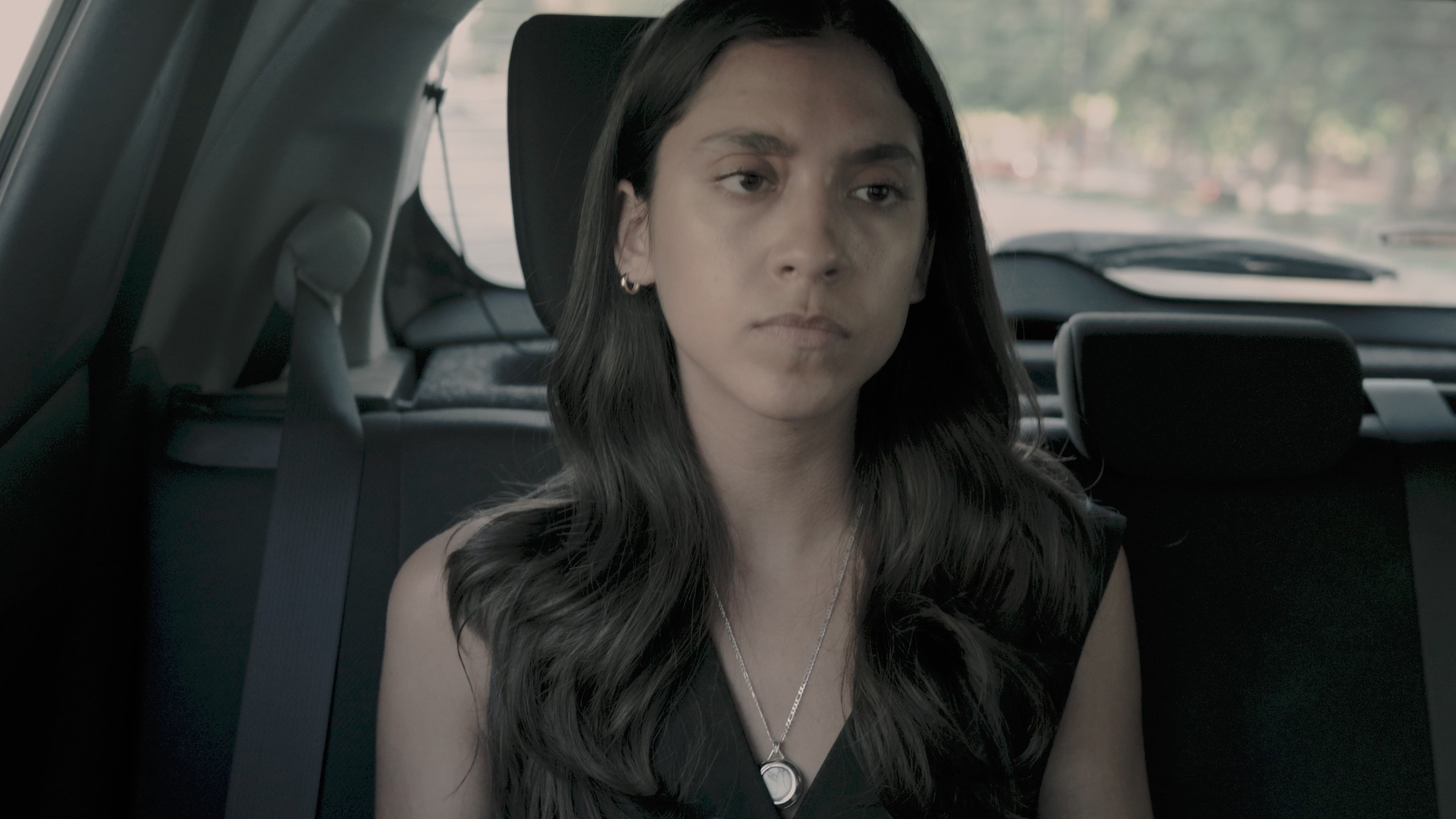 Cargar video: 